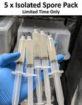 5 x Isolated Spore Pack